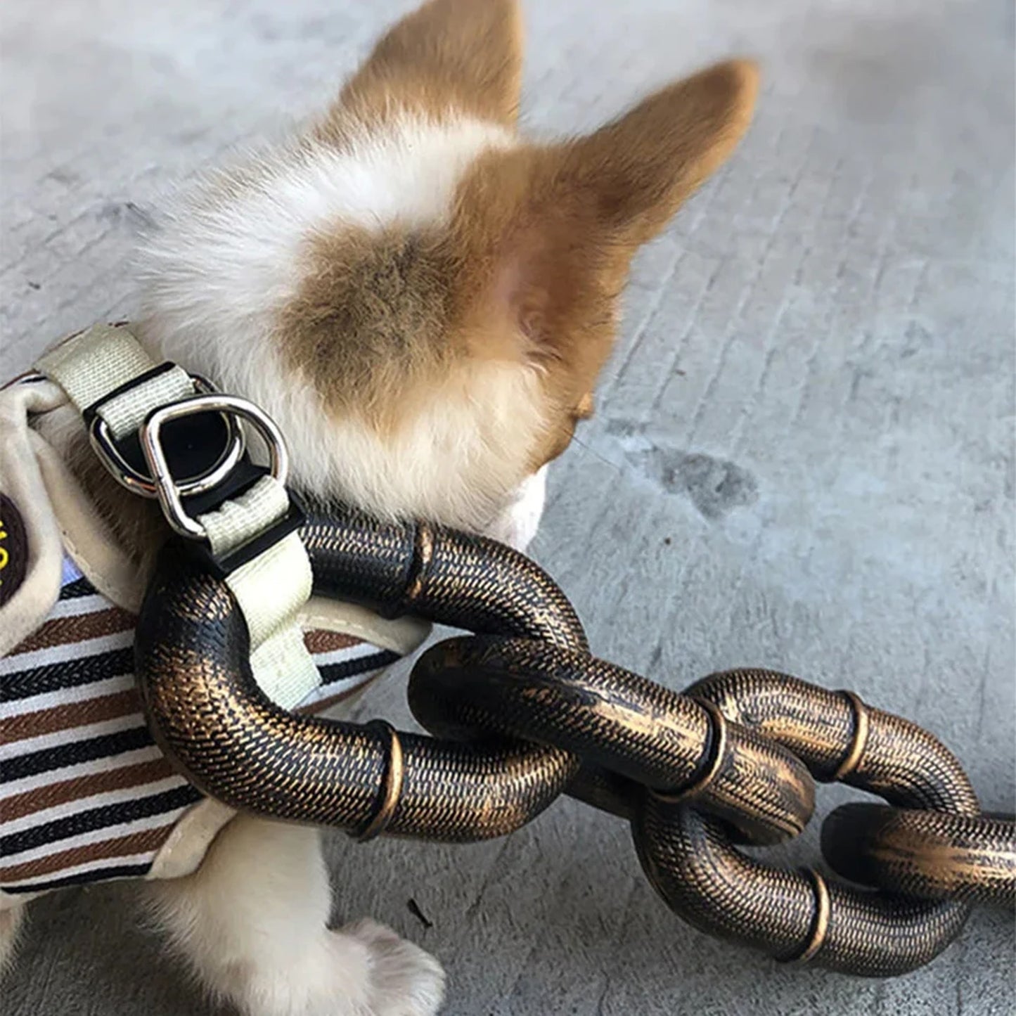 Heavy Chain Pet Leash